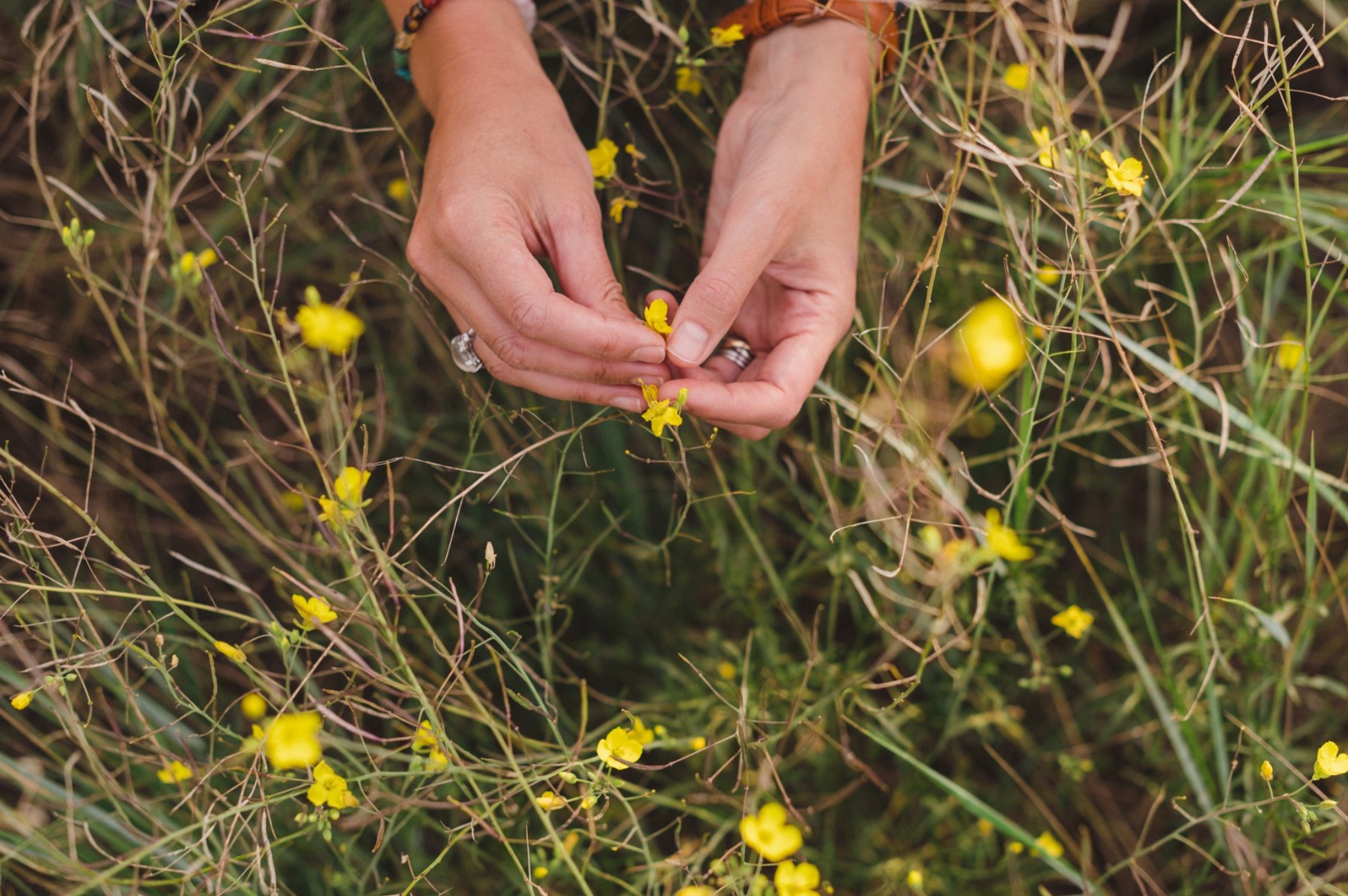 Izzy gathering yellow flowers in the grass